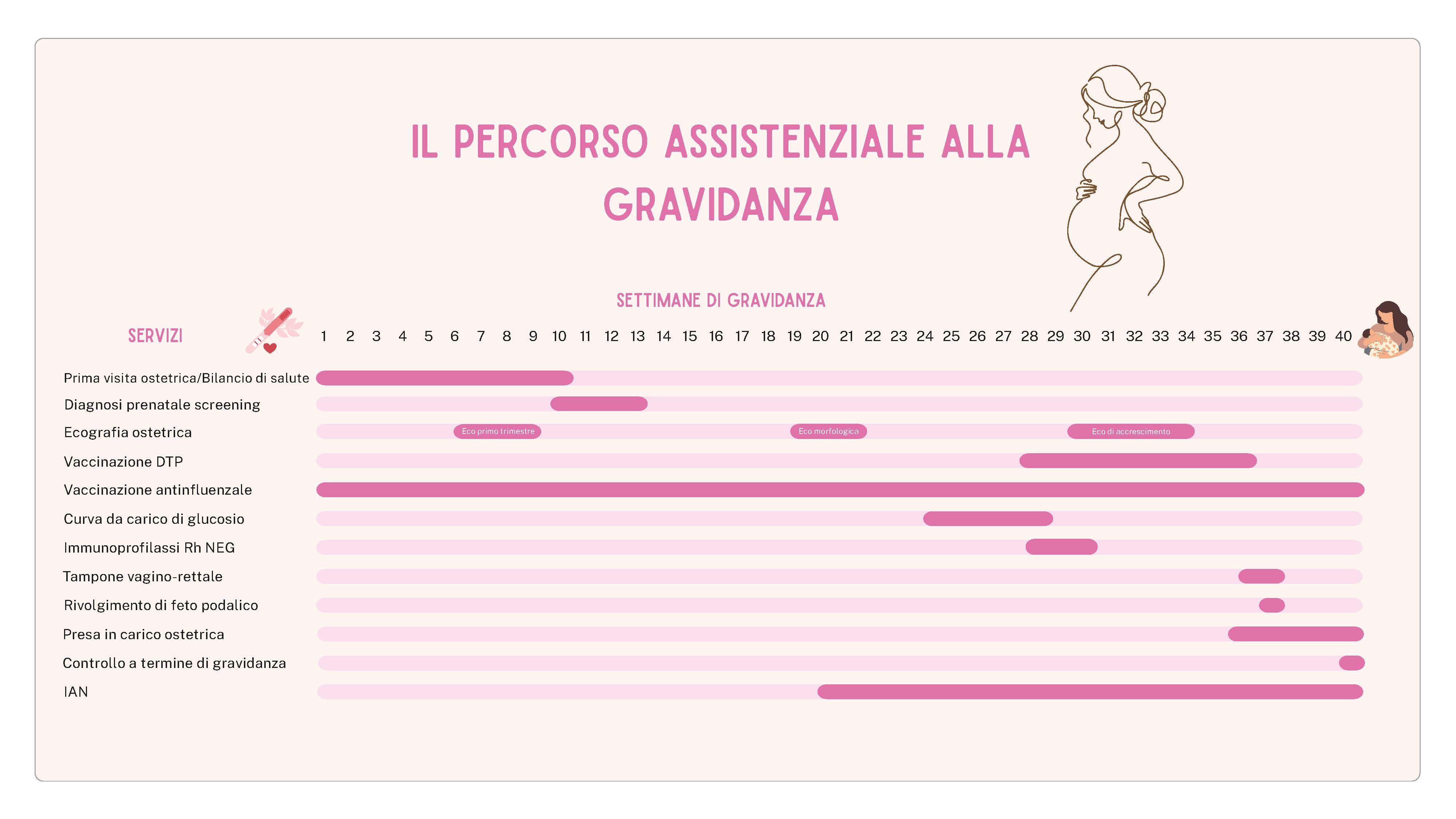 TIME LINE GRAVIDANZA 3