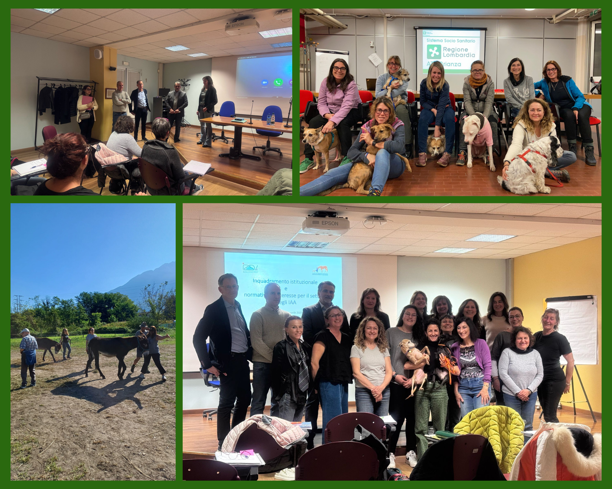 conferenza dipendenze