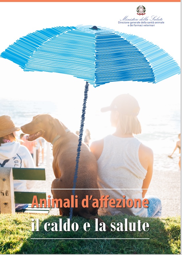 7 animali affezione