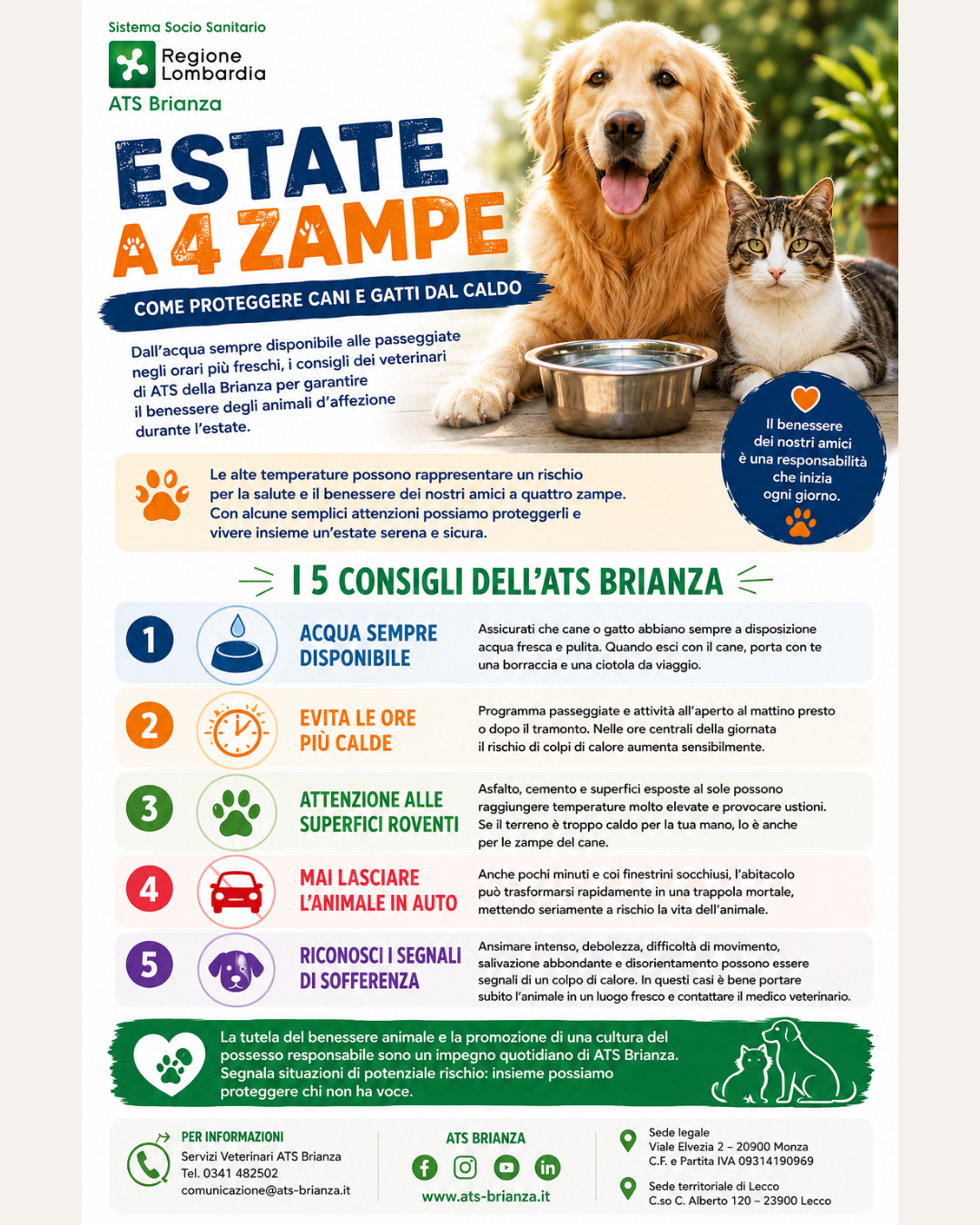 ESTATE A 4 ZAMPE COME PROTEGGERE
